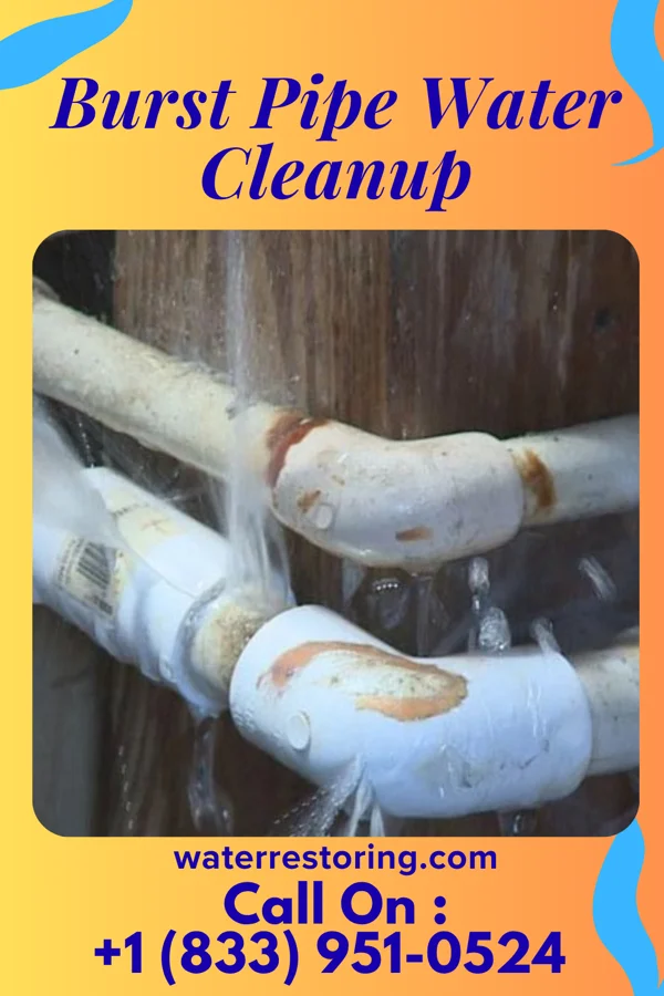 Burst Pipe Water Cleanup in Cottondale, FL